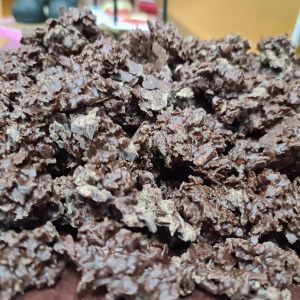 Comprar trufas en Zaragoza - Horno de Repostería Ismael